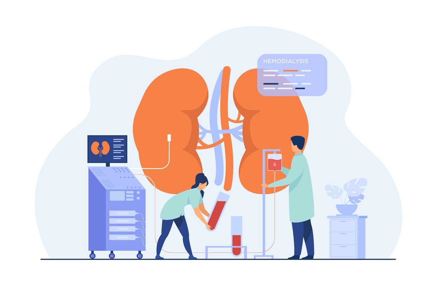 Kidney Disease Be Reversed
