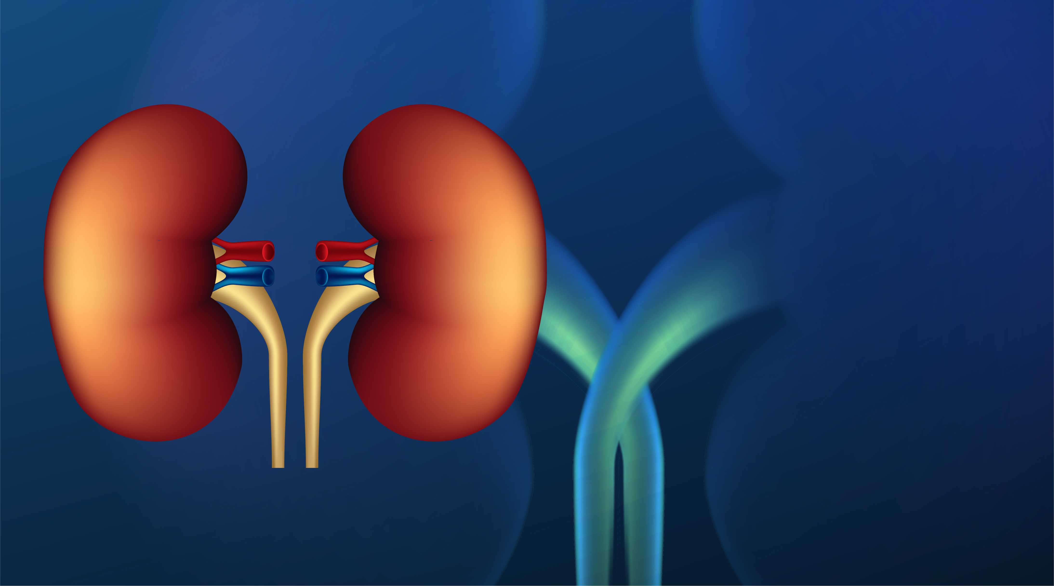 Kidney Disease Stages 