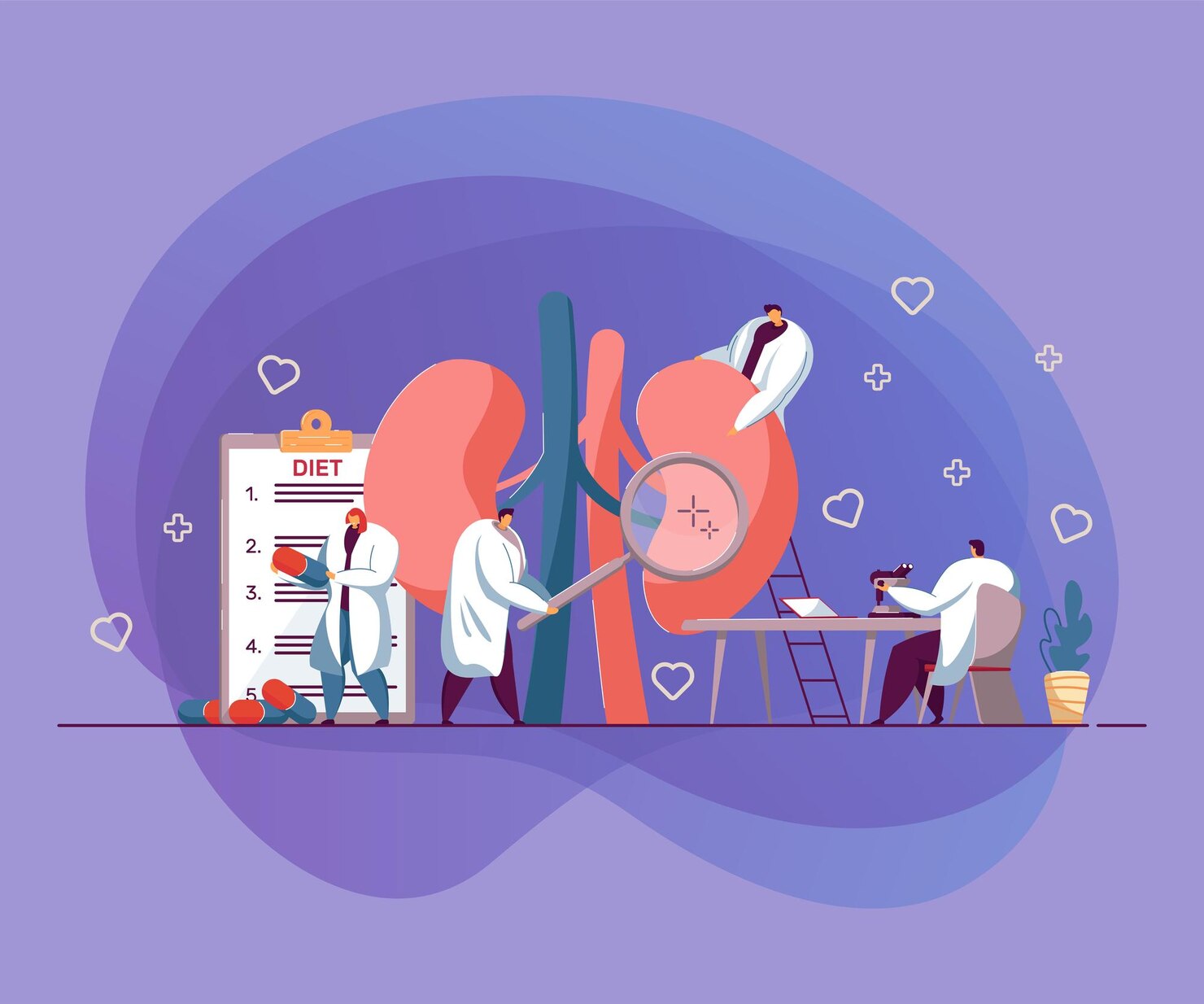 Kidney Function Improvement