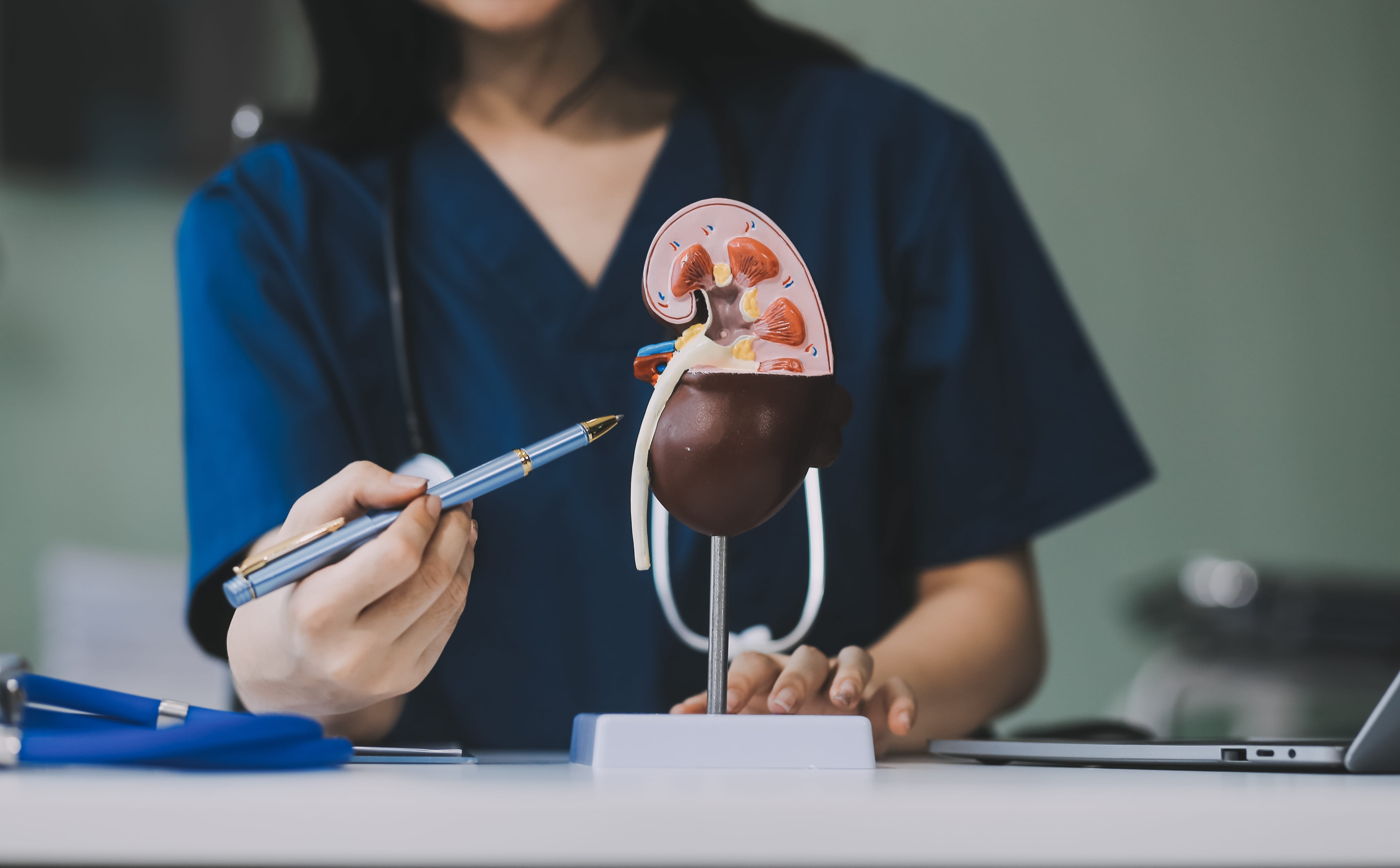 Kidney Health Matters