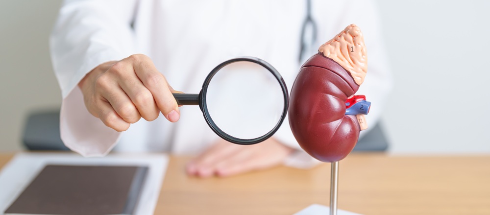 Silent kidney damage warning signs illustration by Dr Raghavendra Pradeep showing kidney structure and early symptoms